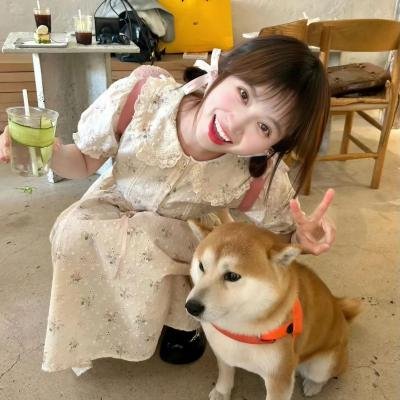 埋藏的宝藏